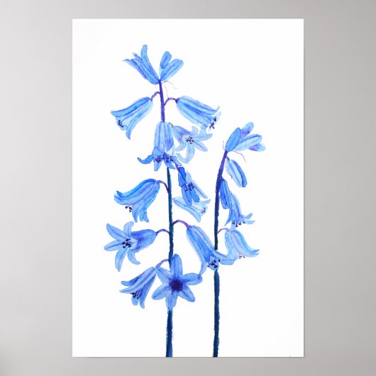 Botanische waterverf van blaasbloem poster (Voorkant)