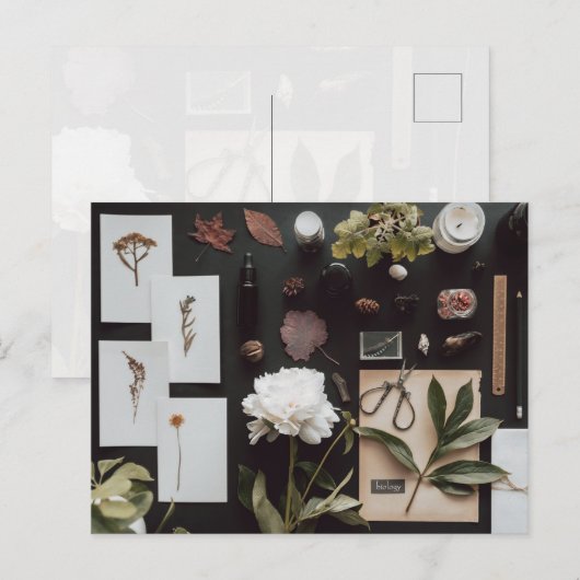 Botanische Wetenschap Flat Lay Academia Briefkaart (Voorkant / Achterkant)