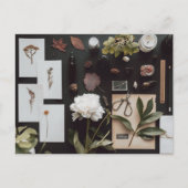 Botanische Wetenschap Flat Lay Academia Briefkaart (Voorkant)