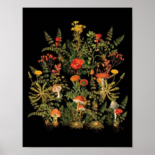 Botanische Wildbloemen Paddenstoelen Herfst Poster (Voorkant)