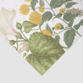 Botanische Wildbloemgrens Een Vlinder Decoupage Tissuepapier (Detail)