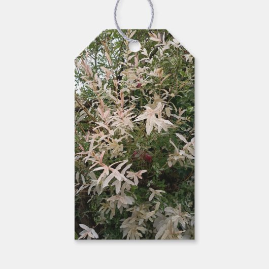 Botanische Wilde Bloem Cadeaubijsluiter Cadeaulabel (Voorkant)
