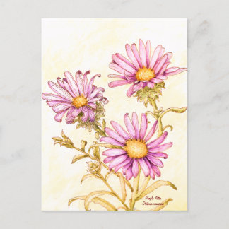 Botanische wilde bloem waterverf aster briefkaart