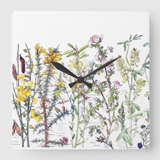 Botanische Wilde Bloemen Meadow Wall klok (Voorkant)