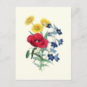 Botanische wilde bloemen: Poppy, Daisy Briefkaart (Voorkant)