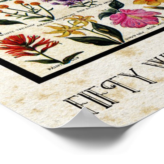 Botanische wilde bloemen van Amerikaanse Antiek bl Poster (Hoek)