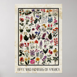 Botanische wilde bloemen van Amerikaanse Antiek bl Poster