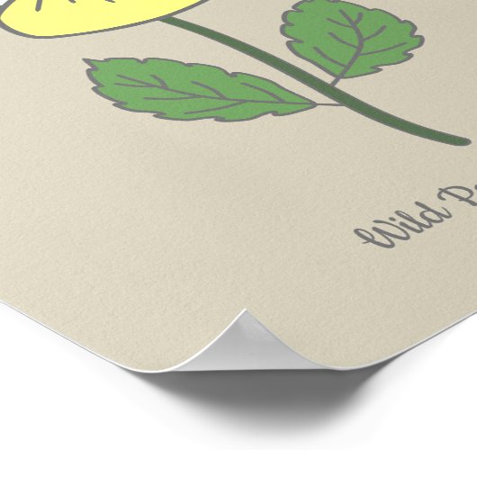 Botanische Wilde Pansy pastelbloem Poster (Hoek)