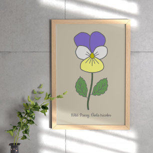 Botanische Wilde Pansy pastelbloem Poster
