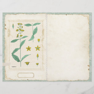 Botanische Wildflower Junk Journal Pagina voor/ach