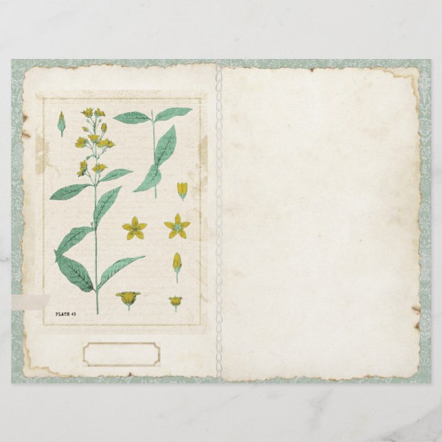 Botanische Wildflower Junk Journal Pagina voor/ach (Voorkant)