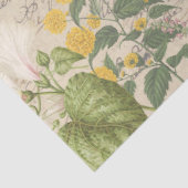 Botanische Wildflower Vlinder Ephemera Decoupage Tissuepapier (Detail)