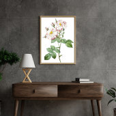Botanische Witte en Roze Rose Art Poster