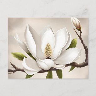 Botanische witte Magnolia Briefkaart