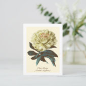 botanische witte pony Indiana bloem Briefkaart (Staand voorkant)