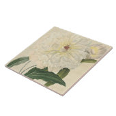 botanische witte pony tegeltje (Zijkant)