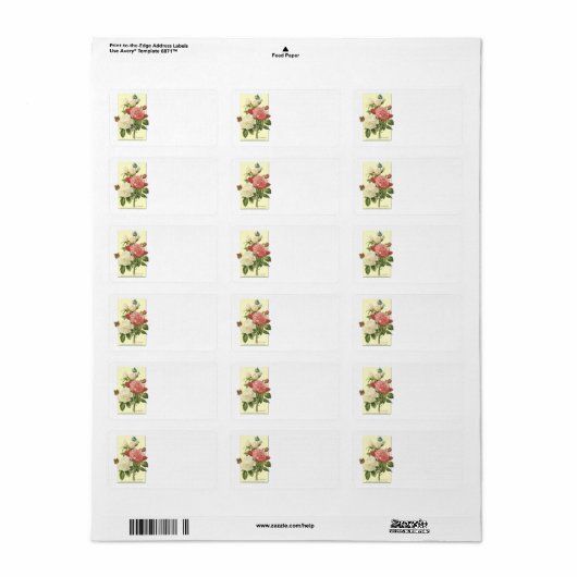 Botanische Witte Rode Rozen Blank Adresetiketten Etiket (Full Sheet)