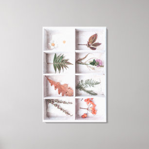 Botanische witte schaduwbox, bloemen bladeren vare canvas afdruk