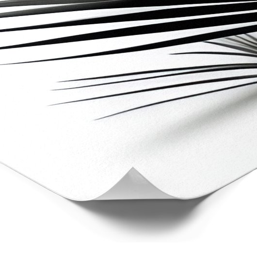 Botanische witte streektekening poster (Hoek)