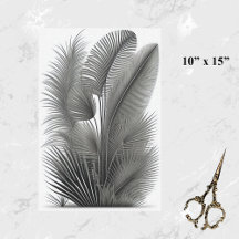 Botanische witte streep Tekening klein