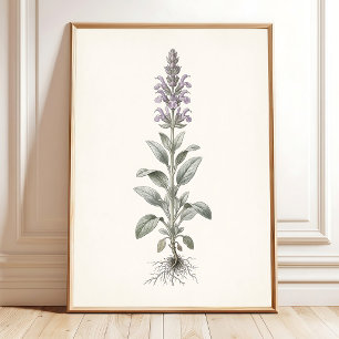 Botanische Zilver Salie Cottagecore Muurkunst Poster