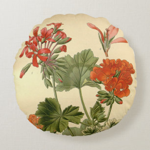  Botanische Zonal Geranium Bloemen Illustrati Rond Kussen