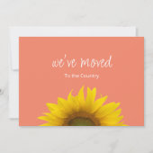 Botanische zonnebloem We hebben perzik verplaatst Aankondiging (Voorkant)