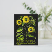 Botanische zonnebloemen Dusky Briefkaart 2 (Staand voorkant)
