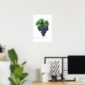  BOTANISCHE "ZWARTE DRUIVEN" REDOUTÉ POSTER (Thuiskantoor)