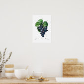  BOTANISCHE "ZWARTE DRUIVEN" REDOUTÉ POSTER (Keuken)