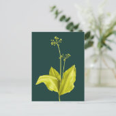 Botanist botanische kunstgroene Plant Natuur Lover Briefkaart (Staand voorkant)