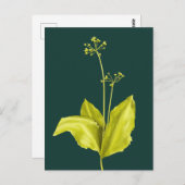 Botanist botanische kunstgroene Plant Natuur Lover Briefkaart (Voorkant / Achterkant)