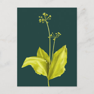 Botanist botanische kunstgroene Plant Natuur Lover Briefkaart