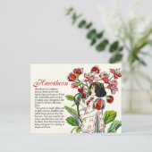 Botany Collector  Hawthorn Girl Plant Info Briefkaart (Staand voorkant)