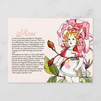 Botany Collector Roos Girl Plant Info Briefkaart