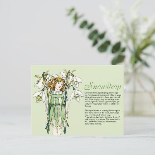 Botany Collector  Snowdrops Girl Plant Info Briefkaart (Staand voorkant)