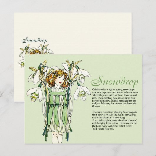 Botany Collector  Snowdrops Girl Plant Info Briefkaart (Voorkant / Achterkant)