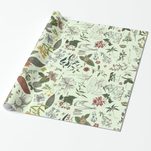 Botany patroon 1 cadeaupapier (Uitgerold)