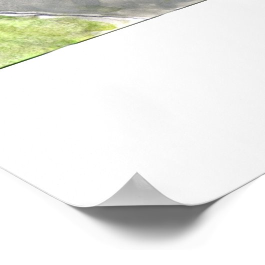 Botany Pond Poster (Hoek)