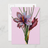 Botany: Saffron Briefkaart (Voorkant / Achterkant)