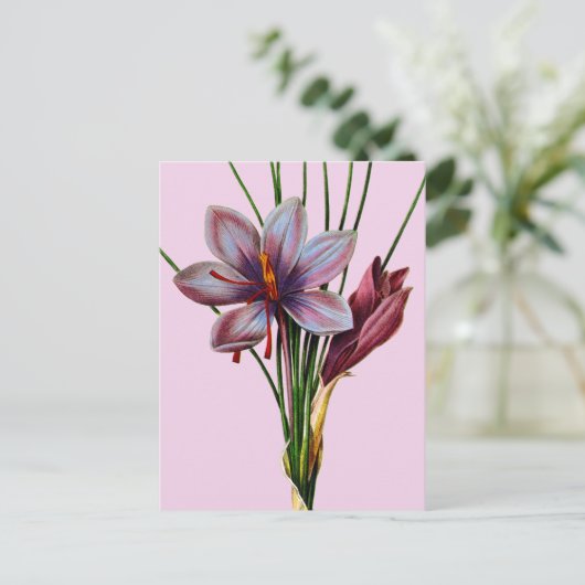 Botany: Saffron Briefkaart (Staand voorkant)