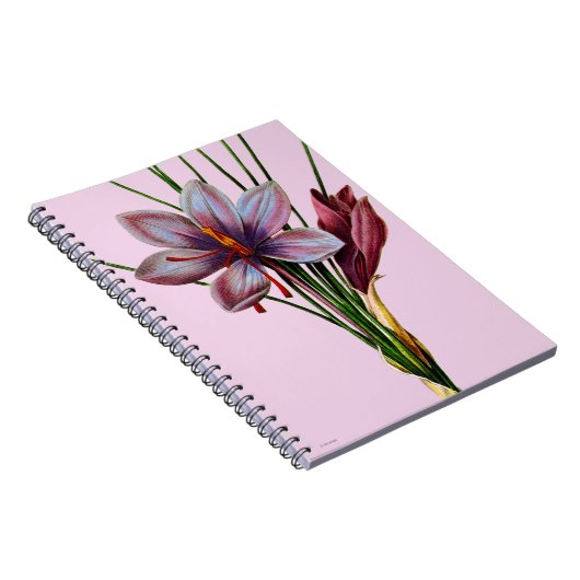 Botany: Saffron Notitieboek (Rechterzijde)