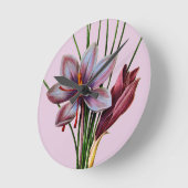 Botany: Saffron Ronde Klok (Hoek)