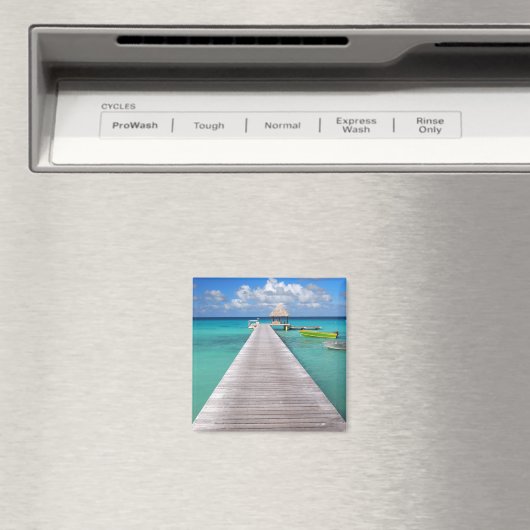 Boten aan een steiger in de Pacifische magneet (Insitu (Vaatwasser))