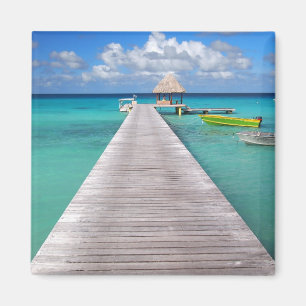 Boten aan een steiger in de Pacifische magneet