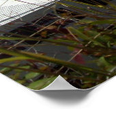 Boten bij Bermuda Poster (Hoek)