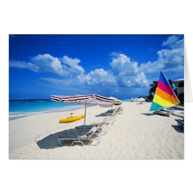 Boten en doorzitters (Voorkant Horizontaal)