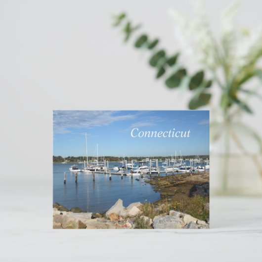 boten in een moeras in Stonington, Connecticut Briefkaart (Staand voorkant)