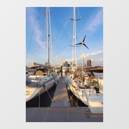 Boten in Tidewater Yacht Marina Window Cling Raamsticker (Vel)