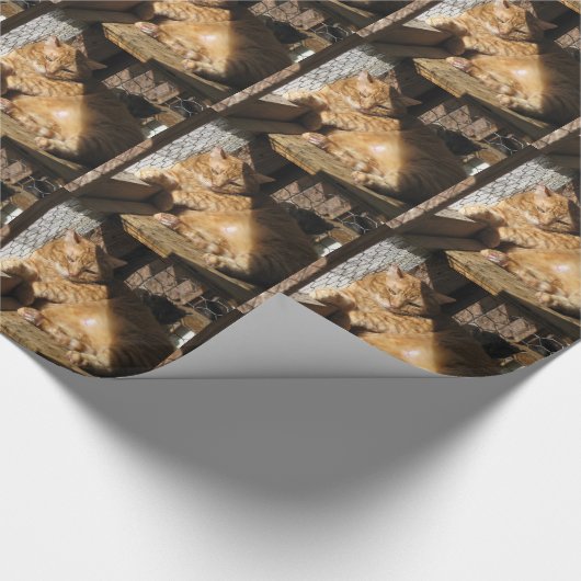 Boter Cadeaupapier (Hoek)